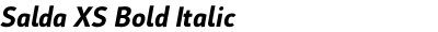 Salda XS Bold Italic